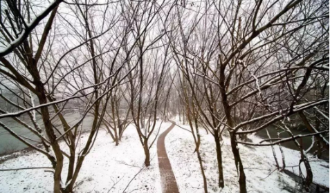 1753782729139323.png image.png